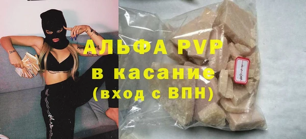 индика Белоозёрский