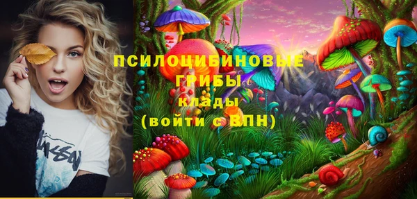 индика Белокуриха
