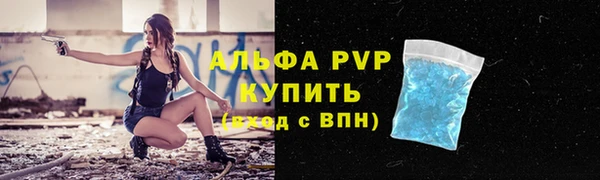 индика Белокуриха