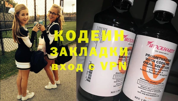 индика Белокуриха