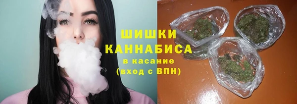 индика Белоозёрский