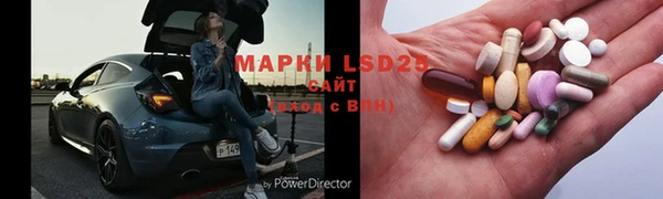 индика Белокуриха