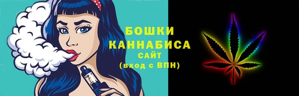 индика Белоозёрский