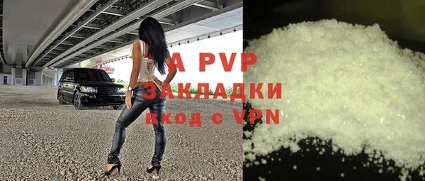 индика Белоозёрский