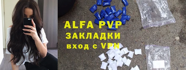 индика Белоозёрский