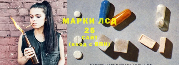 индика Белоозёрский