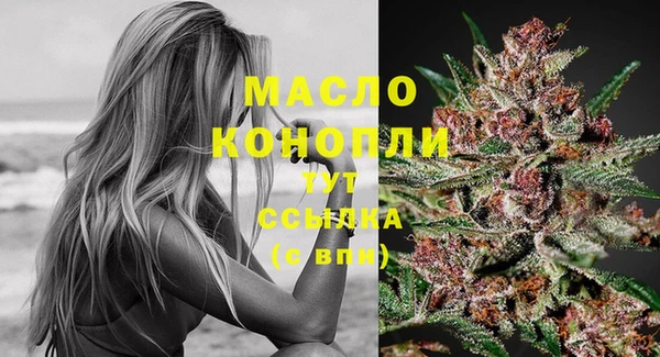 индика Белокуриха